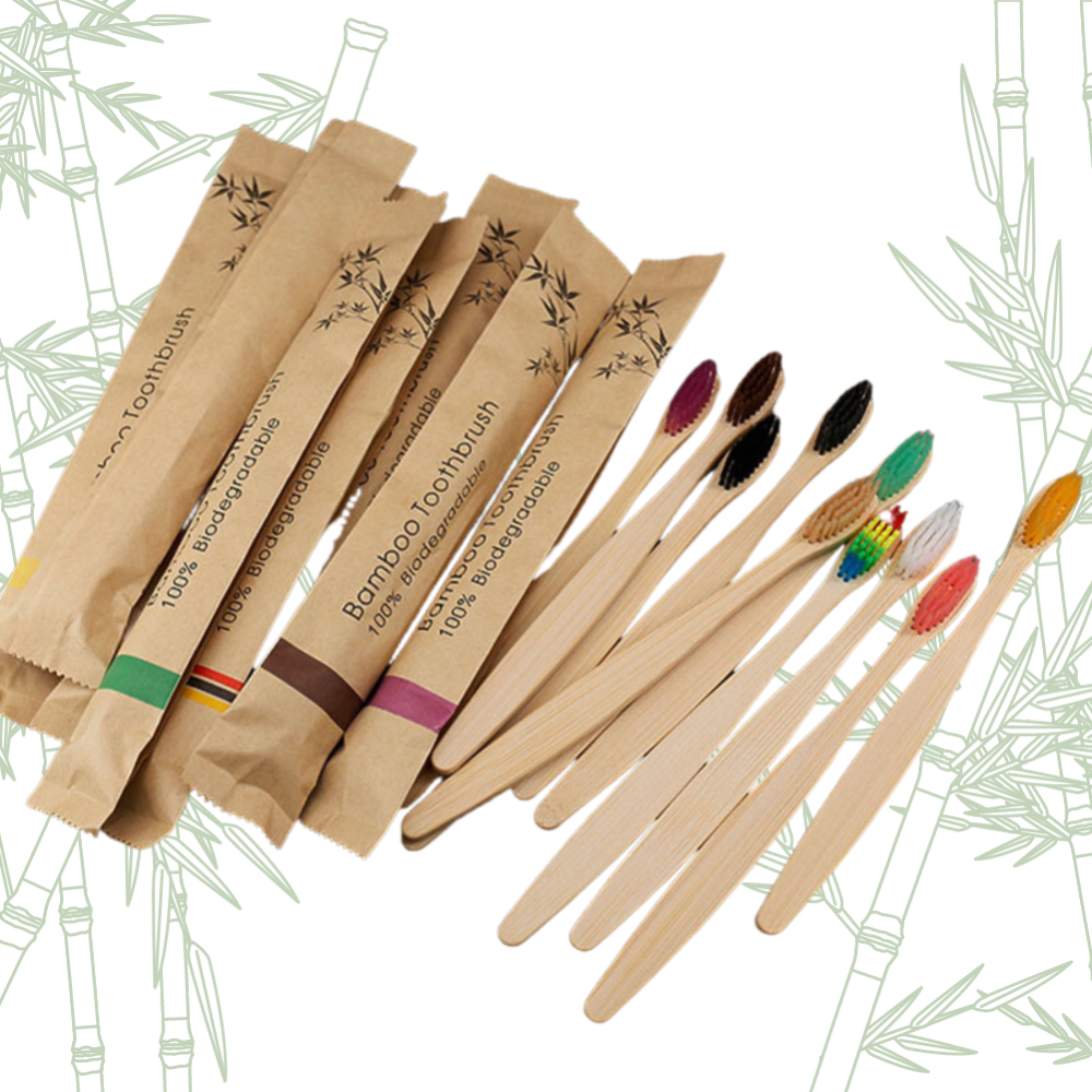 wootswood-kit-10-brosses-bambou-dents-bois-couleur